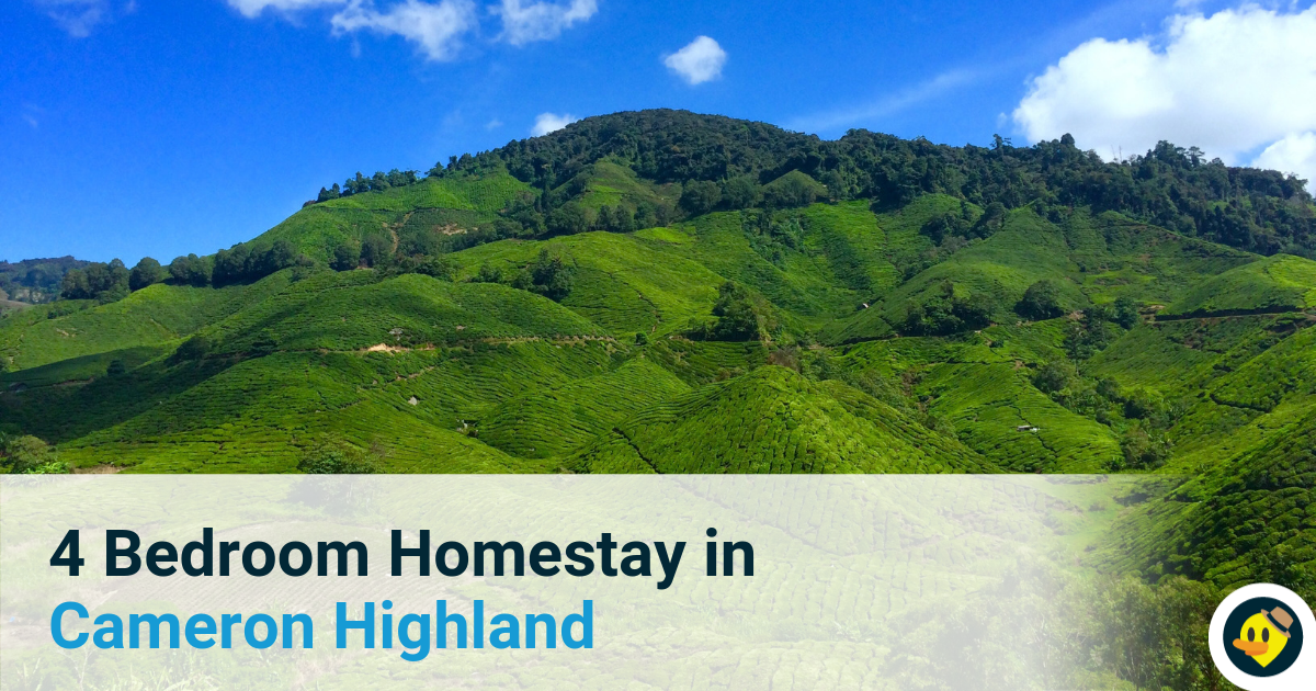 4 Bedroom Homestay in Cameron Highland Featured Image